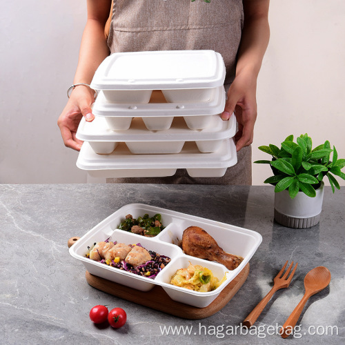 100% Compostable Sugarcane pulp Lunch Box